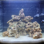 Kent Nano Reef Tank Day 2